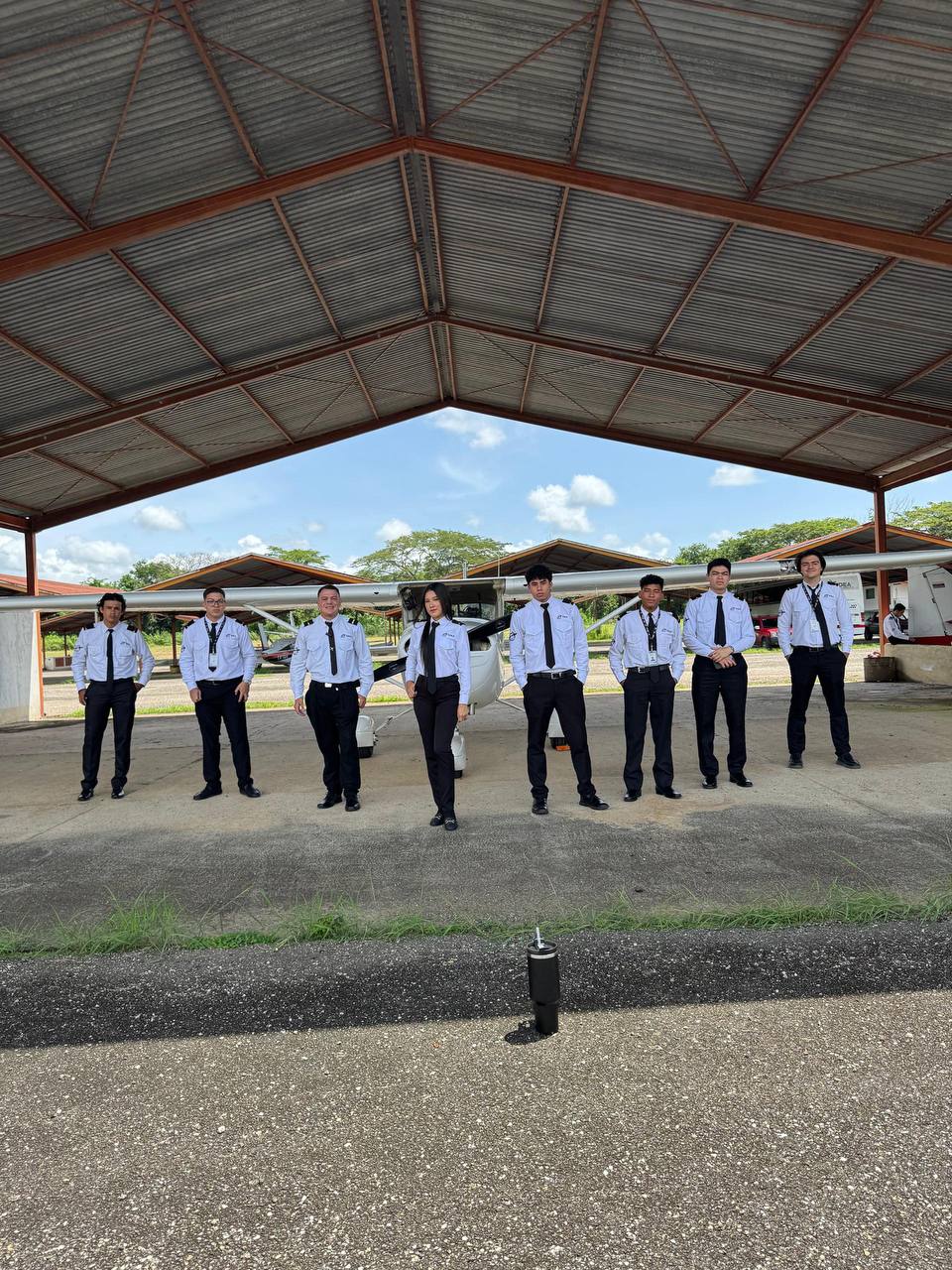Curso de piloto privado 2027 trimestre III - Imagen 4